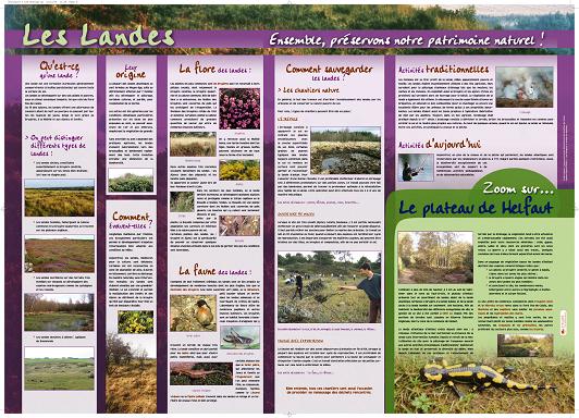 Affiche pédagogique Blongios sur les landes - milieux naturels