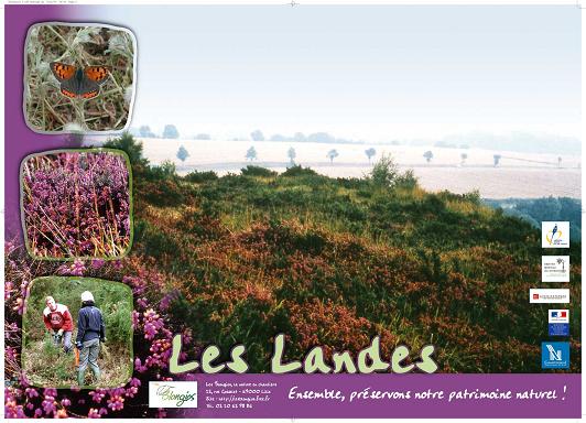 Affiche pédagogique Blongios sur les landes - milieux naturels