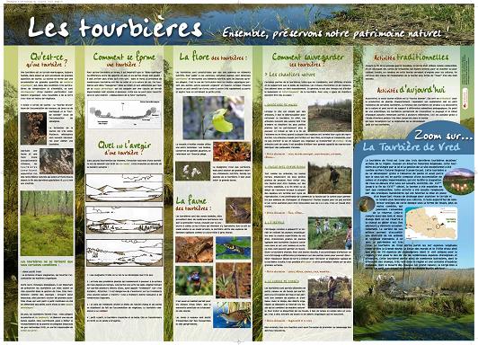 Affiche pédagogique Blongios sur les tourbières - milieux naturels