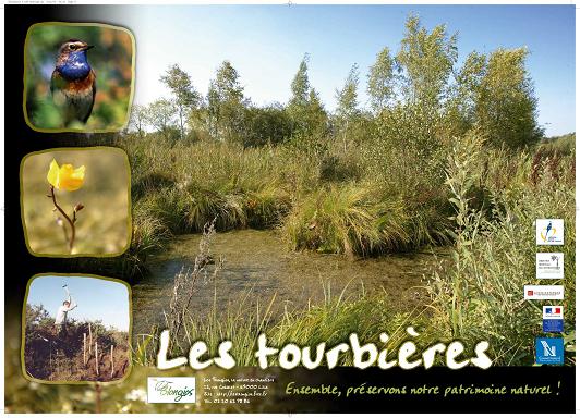 Affiche pédagogique Blongios sur les tourbières - milieux naturels