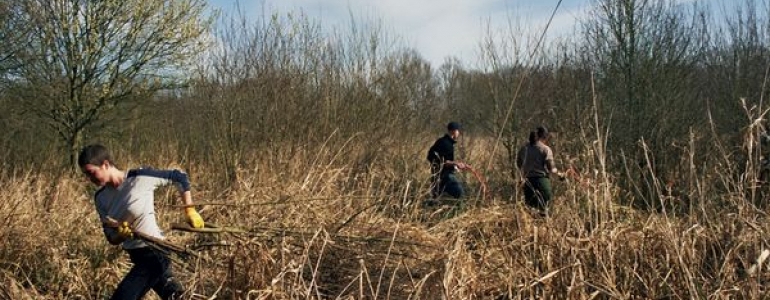 Débroussaillage d'un marais lors d'un chantier nature