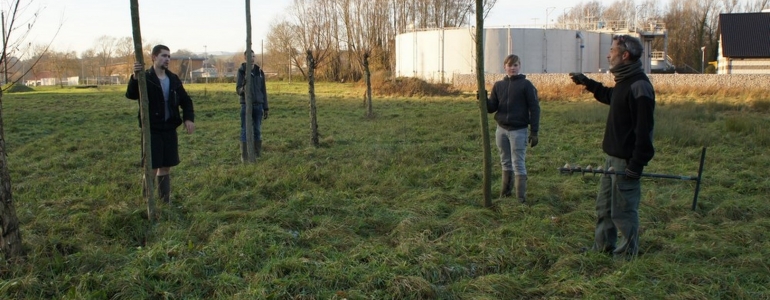 Définition des emplacements avant plantation de perches de Saules