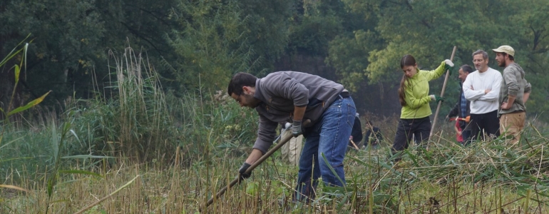 Festi'chantier 2015