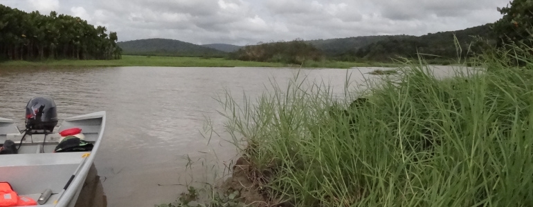 Pirogue et paysage dans la Réserve Naturelle de Kaw-Roura