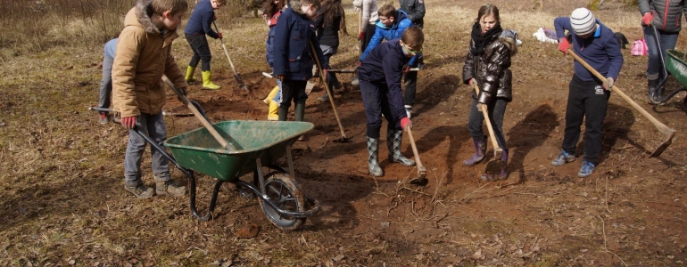 Opération de profilage des berges pour une végétalisation