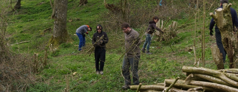 Préparation du bois pour sa valorisation en bois de chauffe.