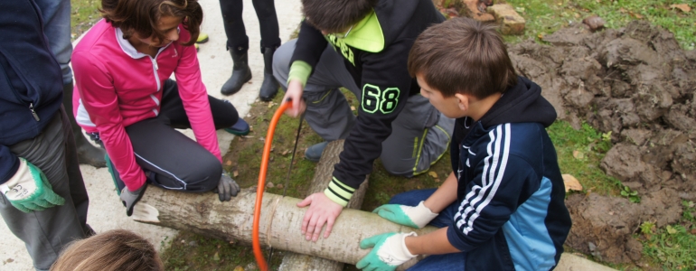 Récupération de troncs d'arbres pour la solidité de l'ensemble.