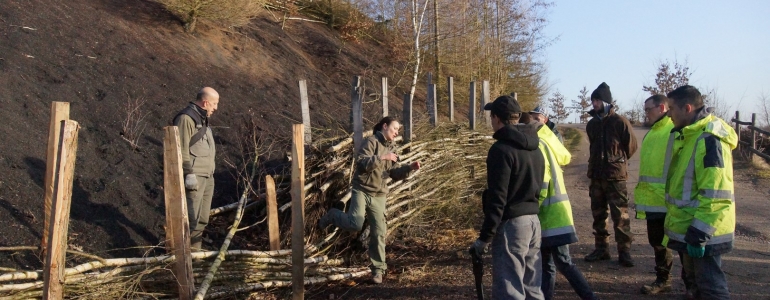 Topo sur la technique de tressage d'arbres