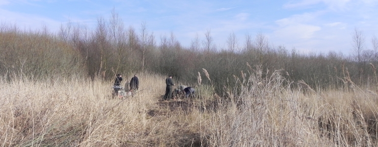 La zone des grands saules 