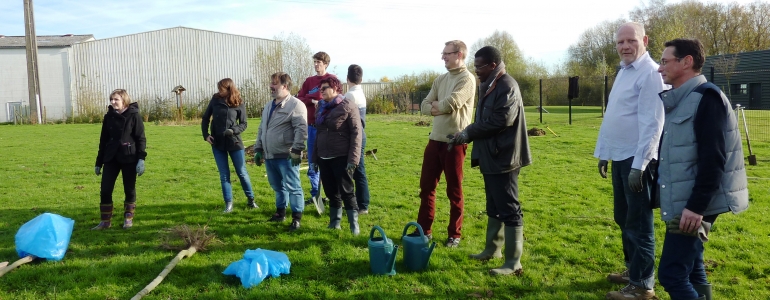 Petite briefing avant la plantation des arbres fruitiers