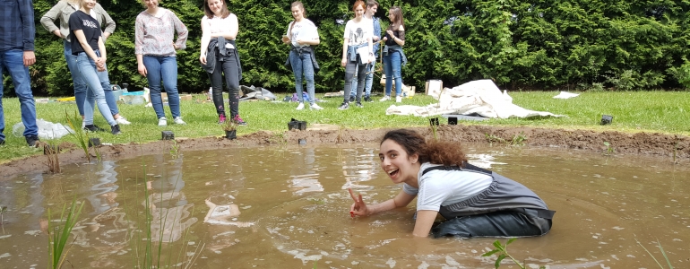 Plantation des potamots pectinés ... sans même tomber