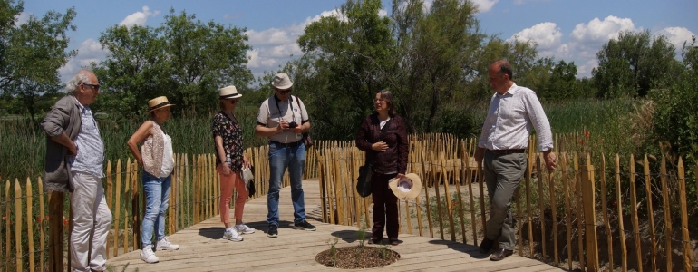 Présentation du Fenouil (Foeniculum vulgare) par une botaniste de la Station Biologique de la Tour du Valat