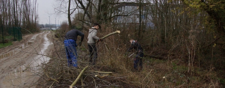 Réhabilitation des berges de la Becque