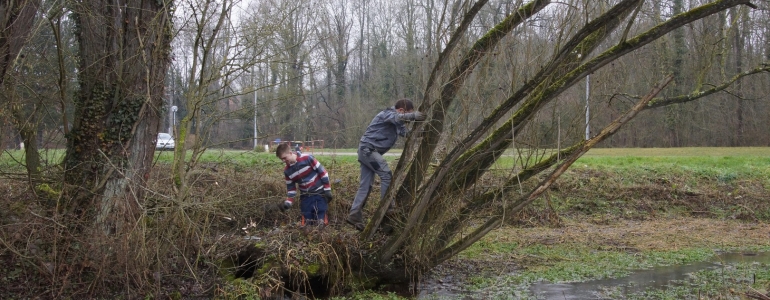 Réhabilitation d'un îlot de nature le long de la Becque