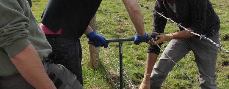 Renforcement de clôture pour enclos de pâturage