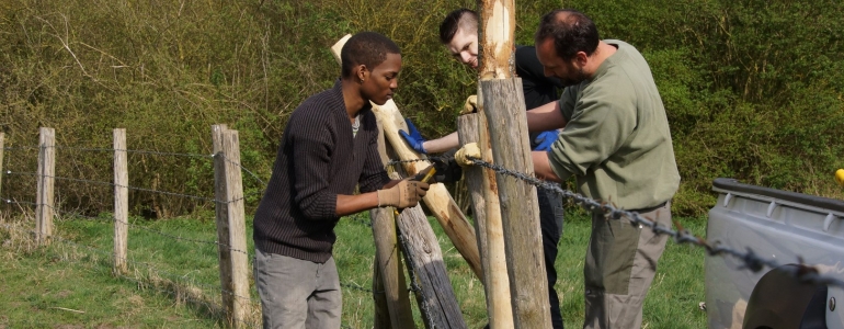 Renforcement de clôture pour enclos de pâturage