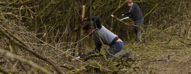 Chantier de restauration de prairie humide par l'association "Mots et merveilles" à Leval