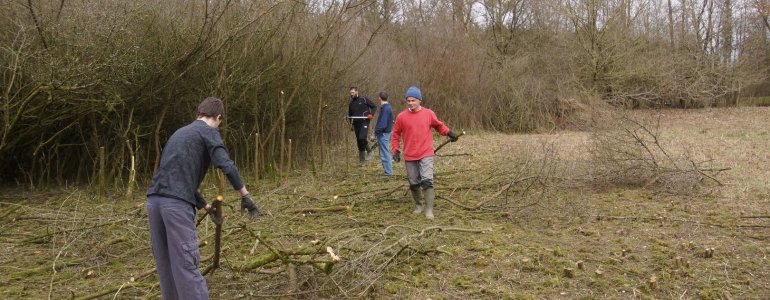 Chantier de restauration de prairie humide par l'association "Mots et merveilles" à Leval