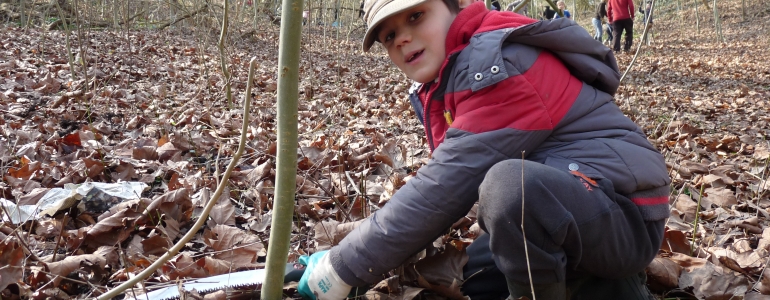 Un futur coordinateur de chantiers ?