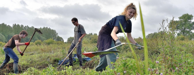 Les Blongios organisent régulièrement des chantiers d’éco-volontariat dans les Hauts-de-France. PHOTO PATRICK JAMES