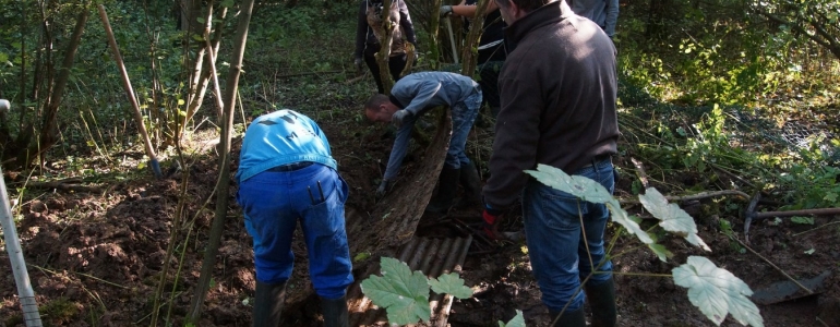 Suppression d'une garenne artificielle